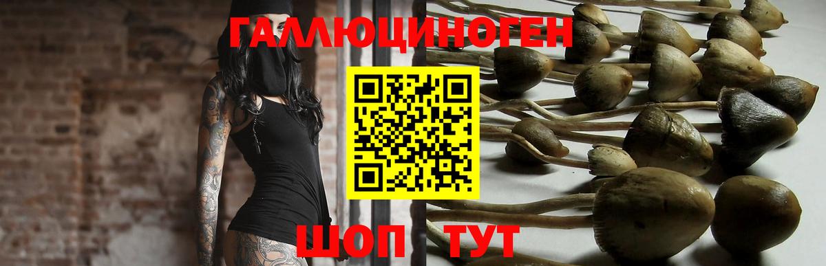 Псилоцибиновые грибы прущие грибы  Вход с VPN  где продают   Людиново 
